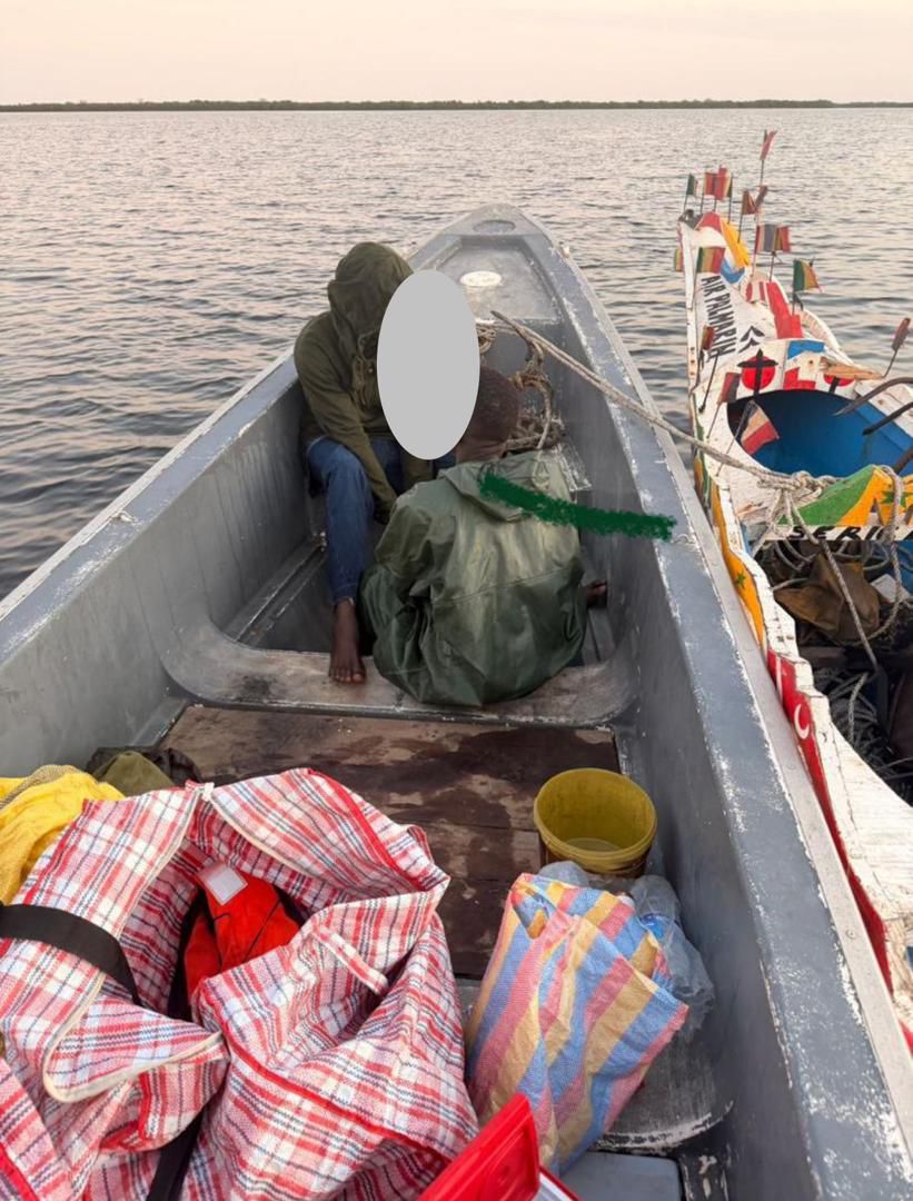 Lutte contre les trafics illicites : D’importantes quantités de cuisses de poulet et de chanvre indien saisies par les Douanes