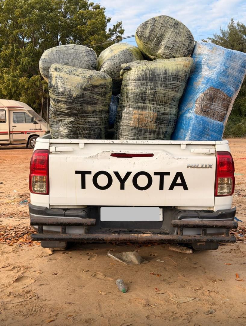 Lutte contre les trafics illicites : D’importantes quantités de cuisses de poulet et de chanvre indien saisies par les Douanes