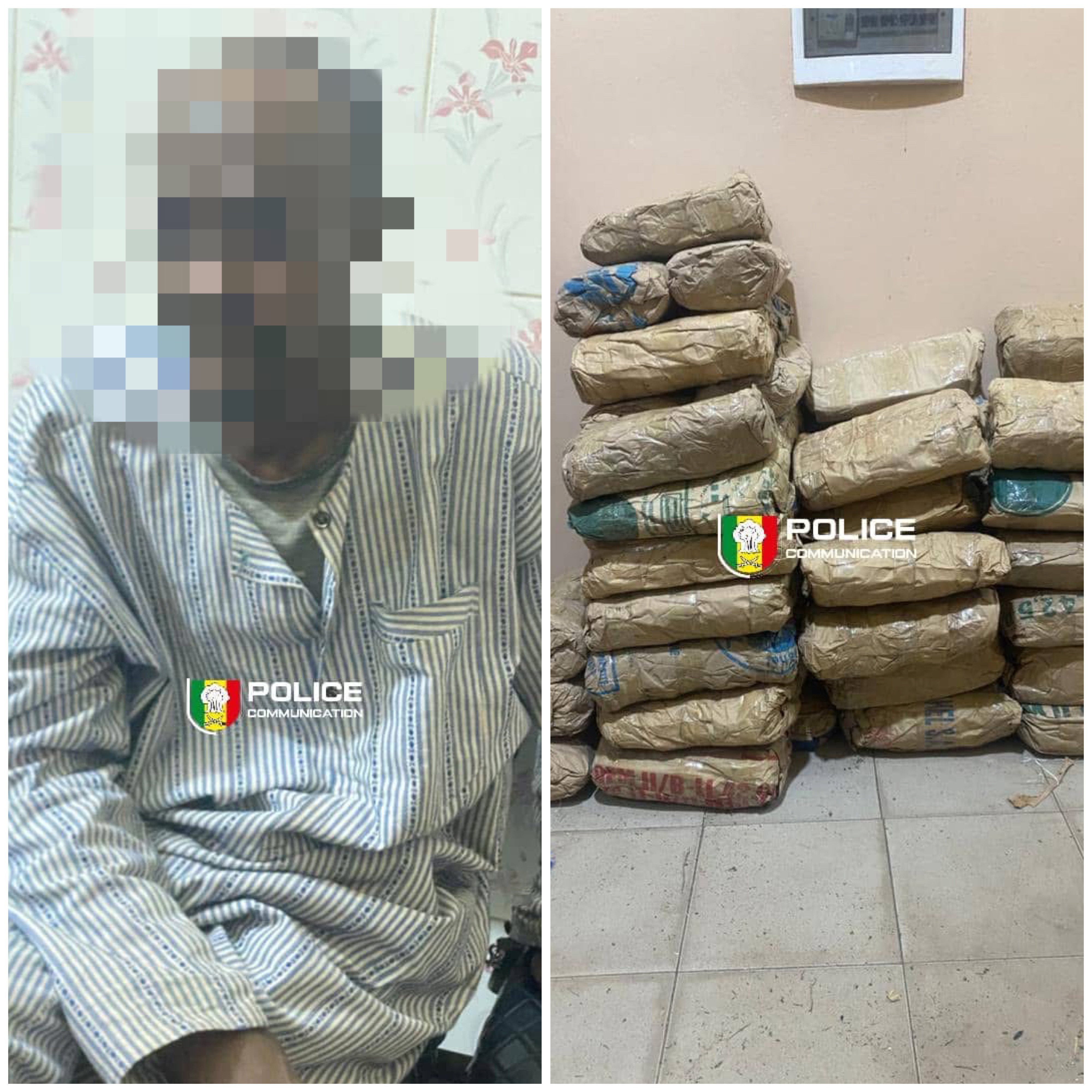 Lutte contre le trafic de drogue : La BRS de Kaolack intercepte 55 kg de chanvre indien