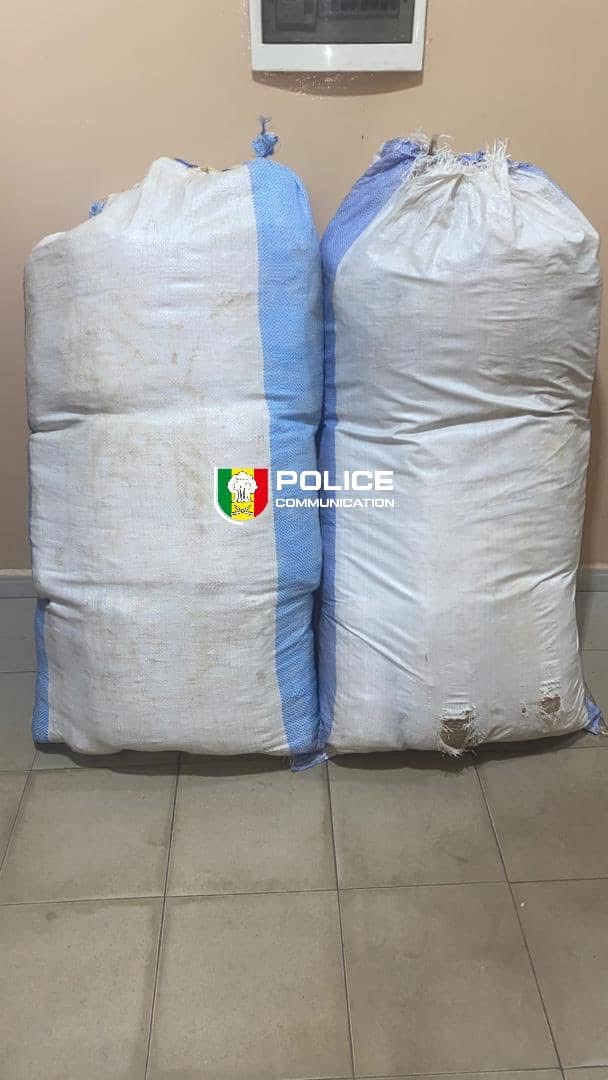 Lutte contre le trafic de drogue : La BRS de Kaolack intercepte 55 kg de chanvre indien