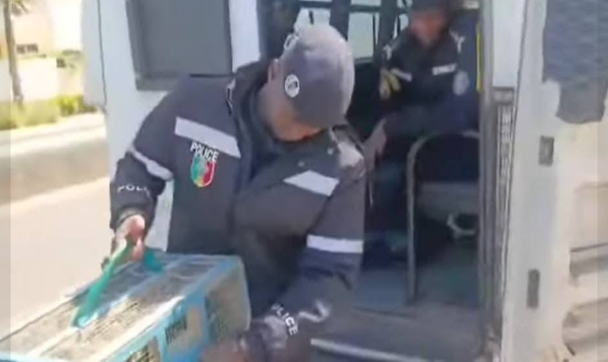 Vente d’oiseaux en cage : La Police nationale lance une vaste opération pour mettre fin à cette pratique