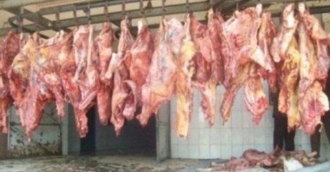 Abattages clandestins – «50% de la viande consommée à Dakar provient de circuits clandestins»