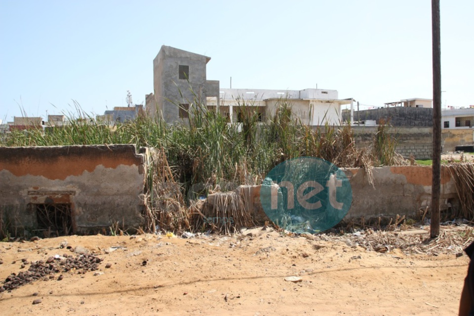 Les images de lancement des Opérations Pré-Hivernales à Dakar avec le Directeur général de l'Onas, Alioune Badar Diop