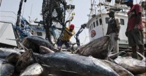 "La pêche illicite non déclarée et non réglementée nous fait perdre 150 milliards par an", selon Oumar Guèye