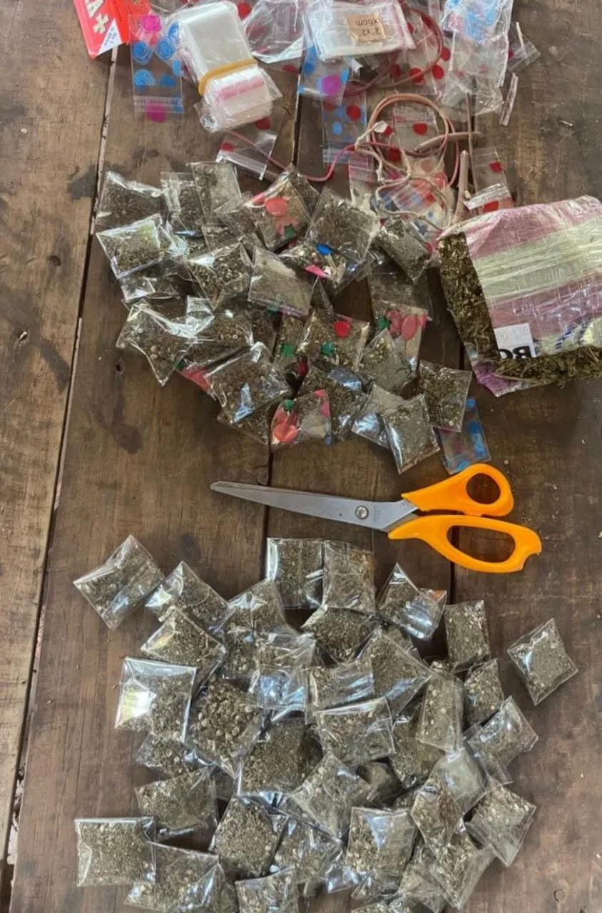 Saraya: Quatre individus arrêtés pour détention et trafic de chanvre indien 