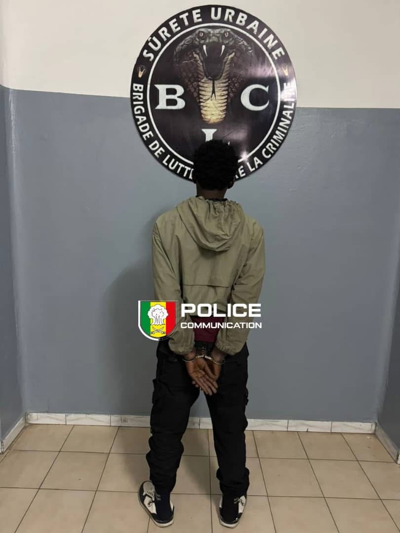 Dakar : Un chauffeur arrêté pour mise en danger de la vie d’autrui