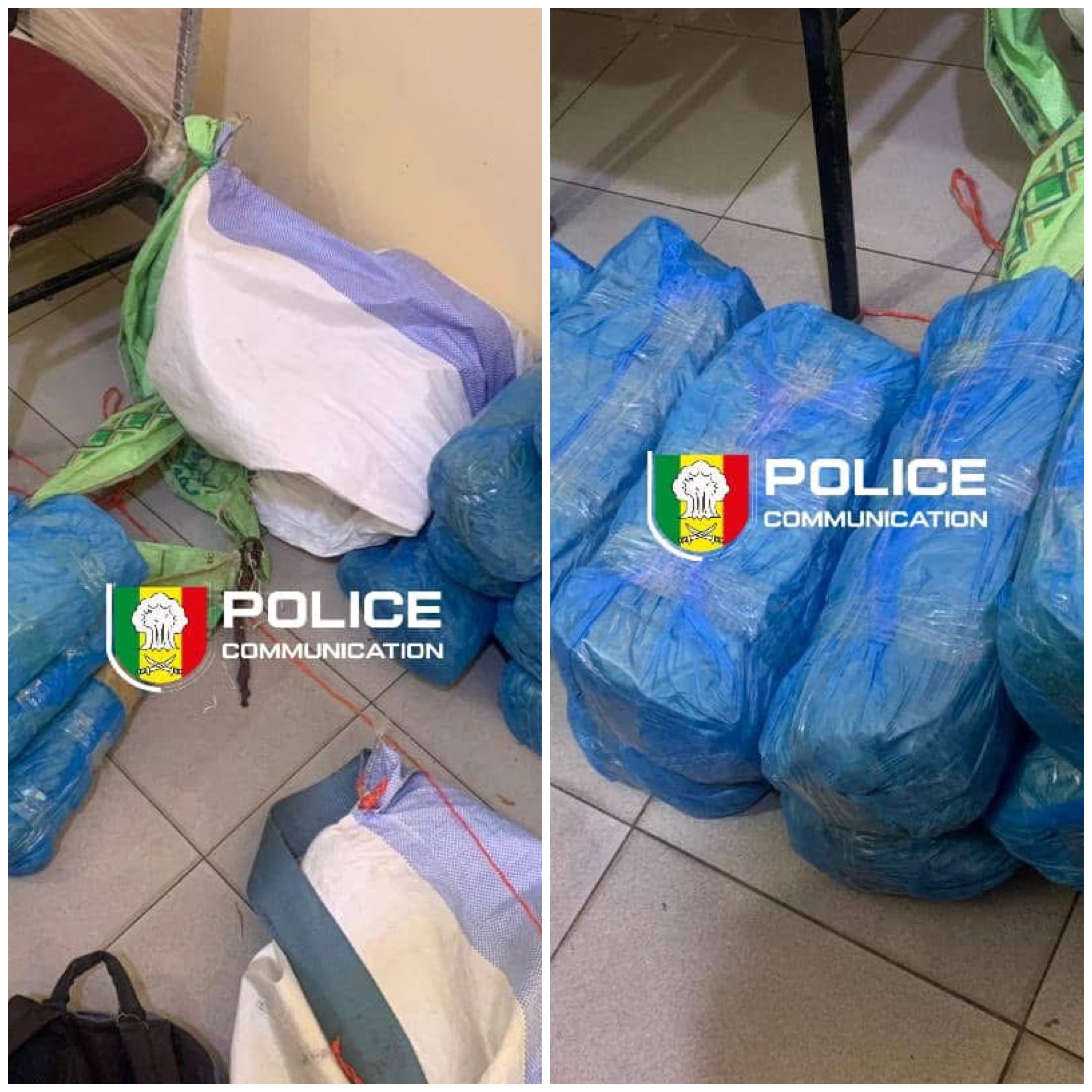 Fatick : Saisie de 23 kg de chanvre indien dans la forêt de Pakala