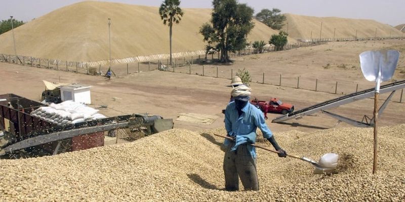 SONACOS franchit le cap des 205 000 tonnes SONACOS franchit le cap des 205 000 tonnes