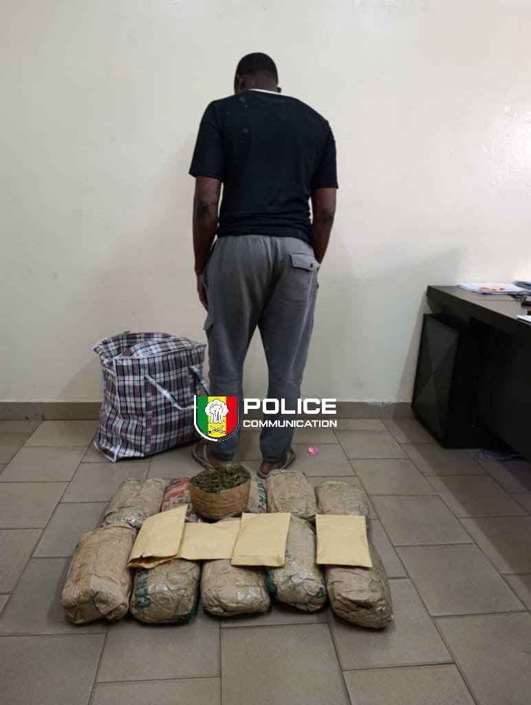 Lutte contre la drogue : 10,5 kg de chanvre indien saisis par la DIC au rond-point JVC