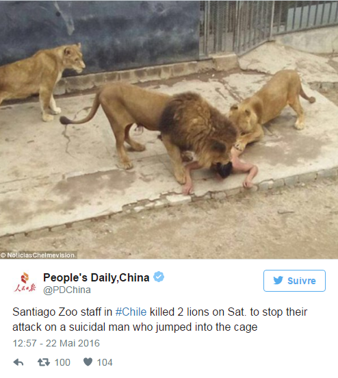 Pour en finir, il se jette nu dans la fosse aux lions