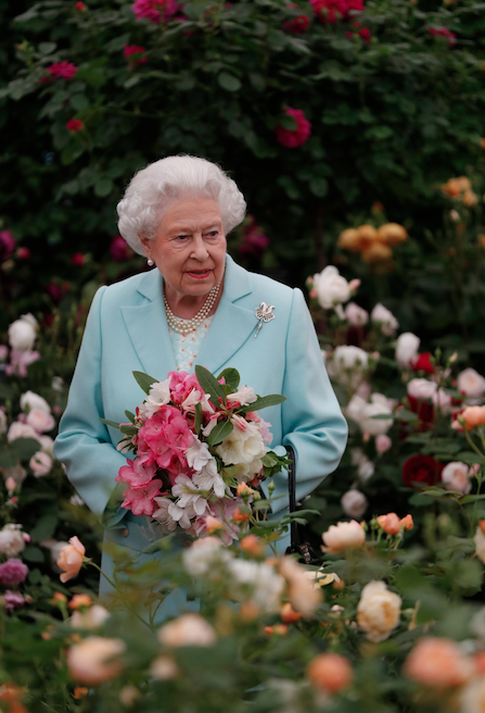 Photos - Kate de Cambridge : une fleur parmi les fleurs pour applaudir Charlotte !