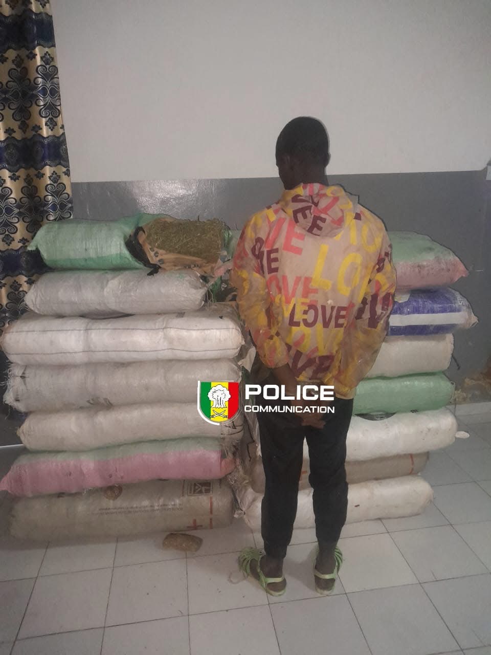 Sédhiou : 179 kg de chanvre indien saisis par la Brigade des stupéfiants