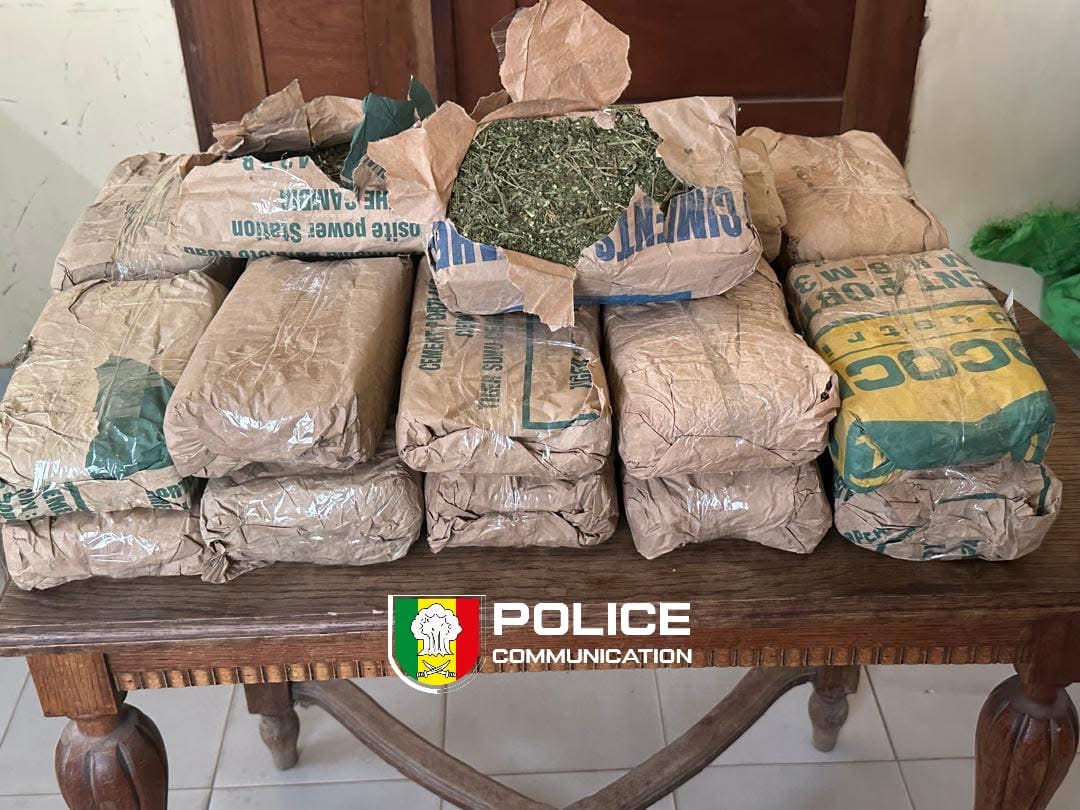 Saisie de 23 kg de chanvre indien par le Commissariat urbain de Saly