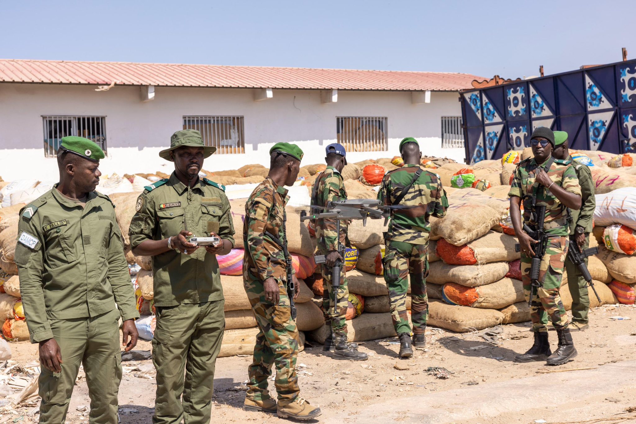 Mbao : Importante saisie de juvéniles de poissons par l’AMP de Gorée
