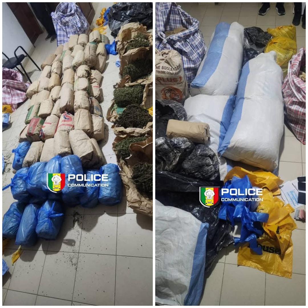 Lutte contre le narcotrafic : Saisie de 108 kg de chanvre indien par la BRS de Dakar, à Niacoulrab