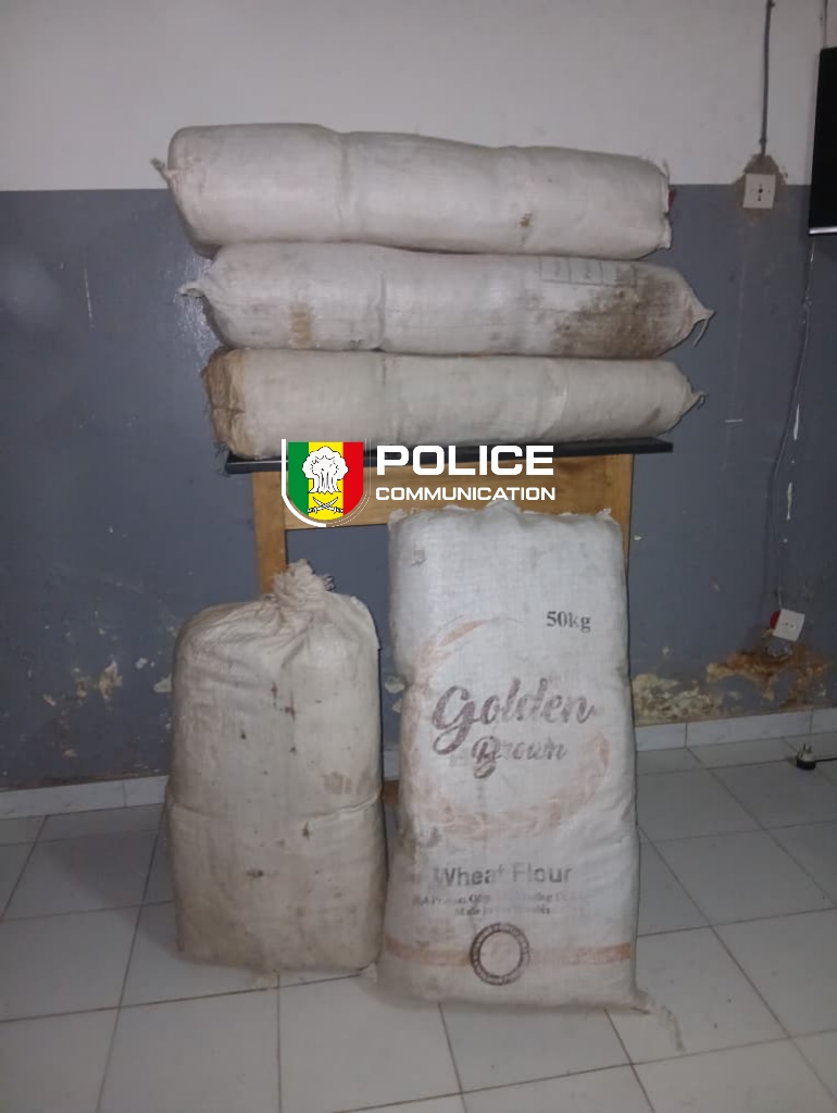 Trafic de drogue : l’OCRTIS démantèle plusieurs réseaux à travers le pays