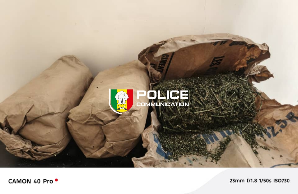 Trafic de drogue : l’OCRTIS démantèle plusieurs réseaux à travers le pays