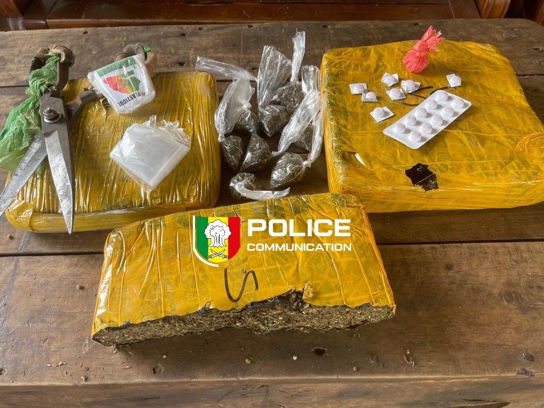 Trafic de drogue : l’OCRTIS démantèle plusieurs réseaux à travers le pays