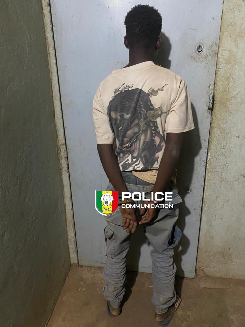 Trafic de drogue : l’OCRTIS démantèle plusieurs réseaux à travers le pays