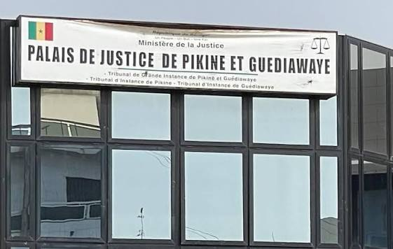 Mur effondré, sécurité menacée : des serpents envahissent le tribunal de Pikine