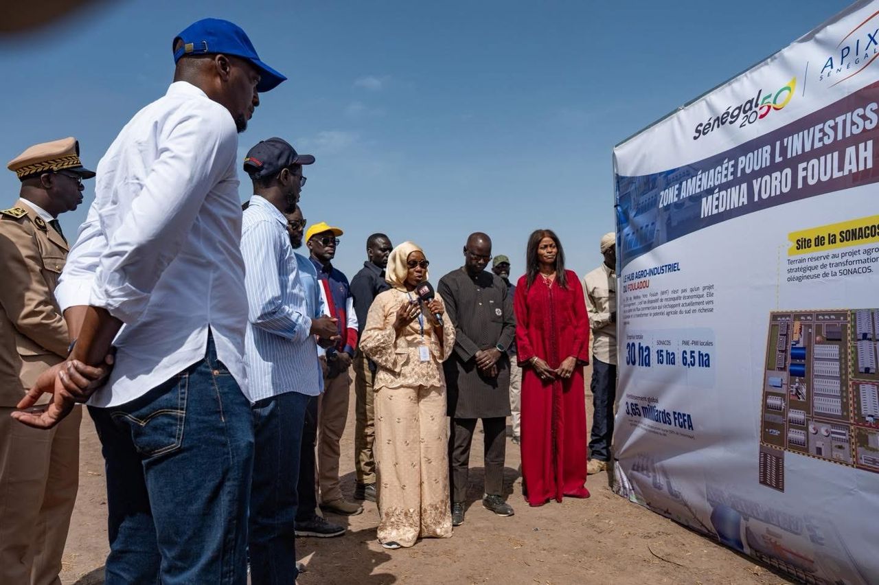 Kolda : Bassirou Diomaye Faye lance la ZAI de Médina Yoro Foulah
