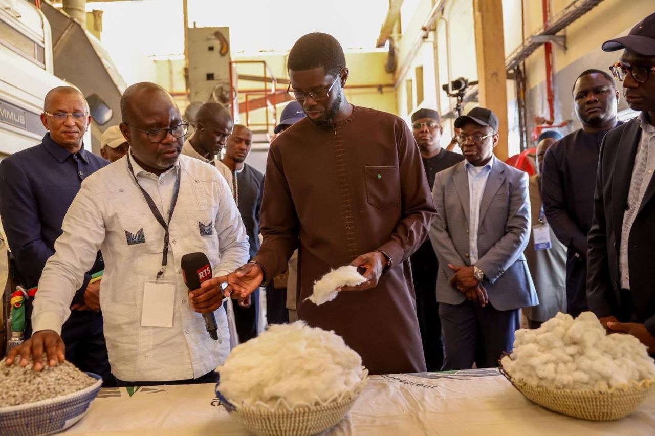 Daakaa de Madina Gounass : visite annoncée du président Bassirou Diomaye Faye