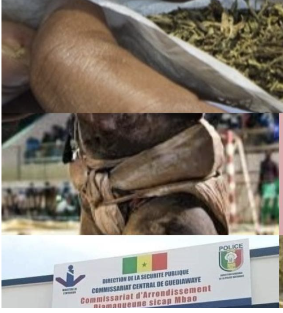 Diamaguène : un lutteur arrêté dans une affaire mêlant drogue et maison de débauche