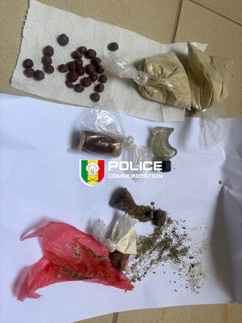 Lutte antidrogue : plusieurs arrestations et saisies majeures réalisées par l’OCRTIS