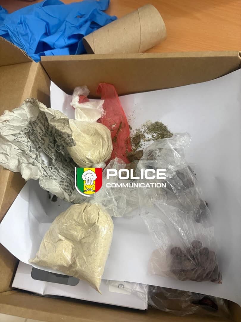 Lutte antidrogue : plusieurs arrestations et saisies majeures réalisées par l’OCRTIS