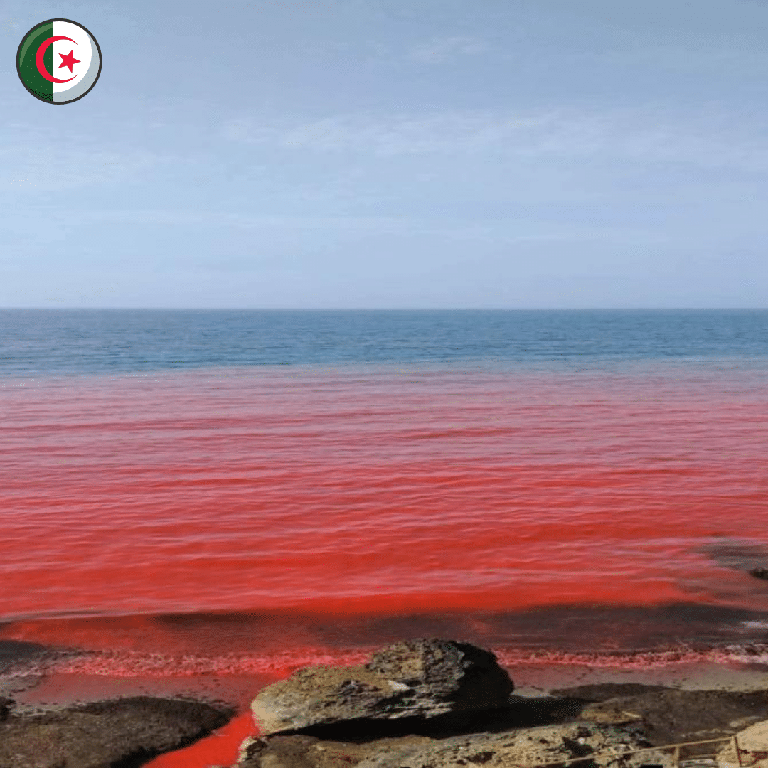 Algérie : mystère autour d’une plage dont les eaux ont viré au rouge à Ain Benian