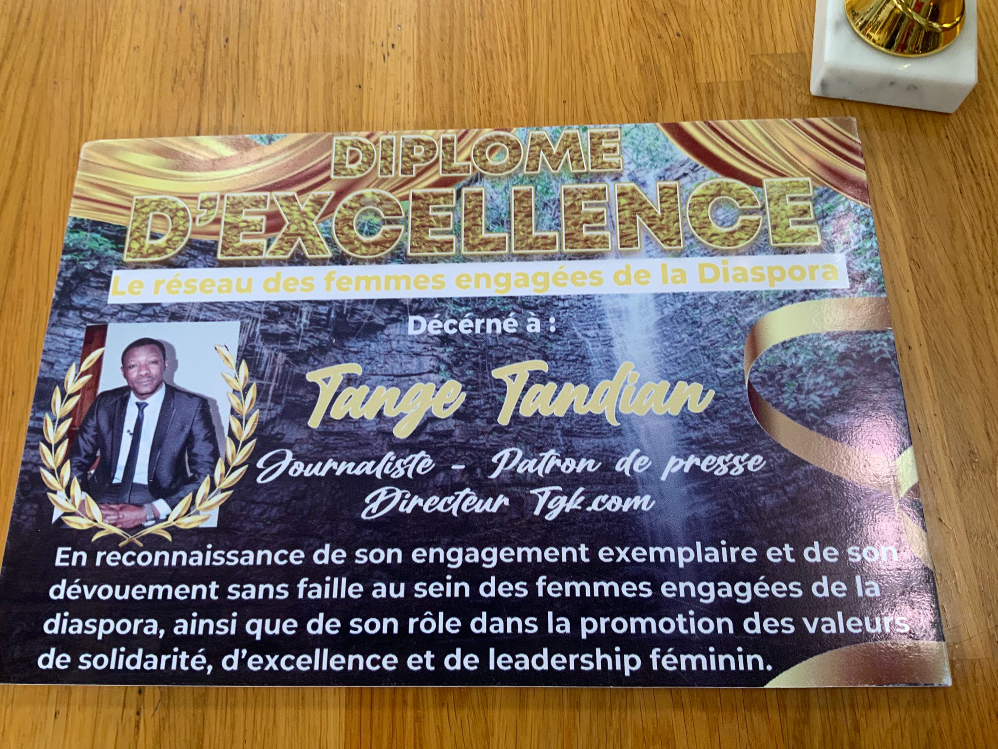 Diaspora : Tange Tandian honoré lors d’un gala d’excellence à Paris