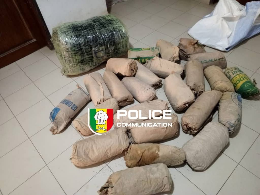 Trafic de drogue : plus de 41 kg de chanvre indien saisis, un réseau démantelé à Thiaroye-sur-Mer
