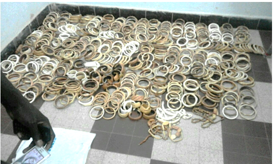 Lutte contre la criminalité faunique : Une saisie de 1081 pièces d’ivoire, de trophées de lion et de carapaces de tortues vertes effectuée à Ziguinchor