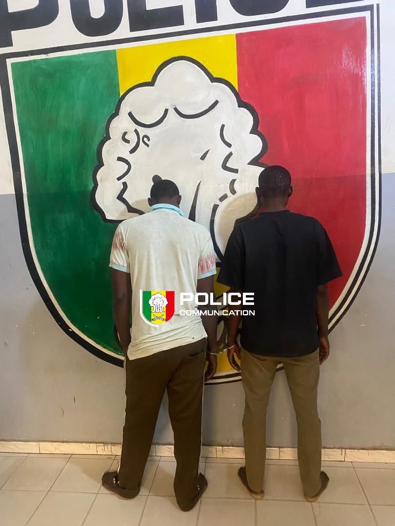 Vente illicite de produits pharmaceutiques : deux suspects envoyés au parquet à Kaolack