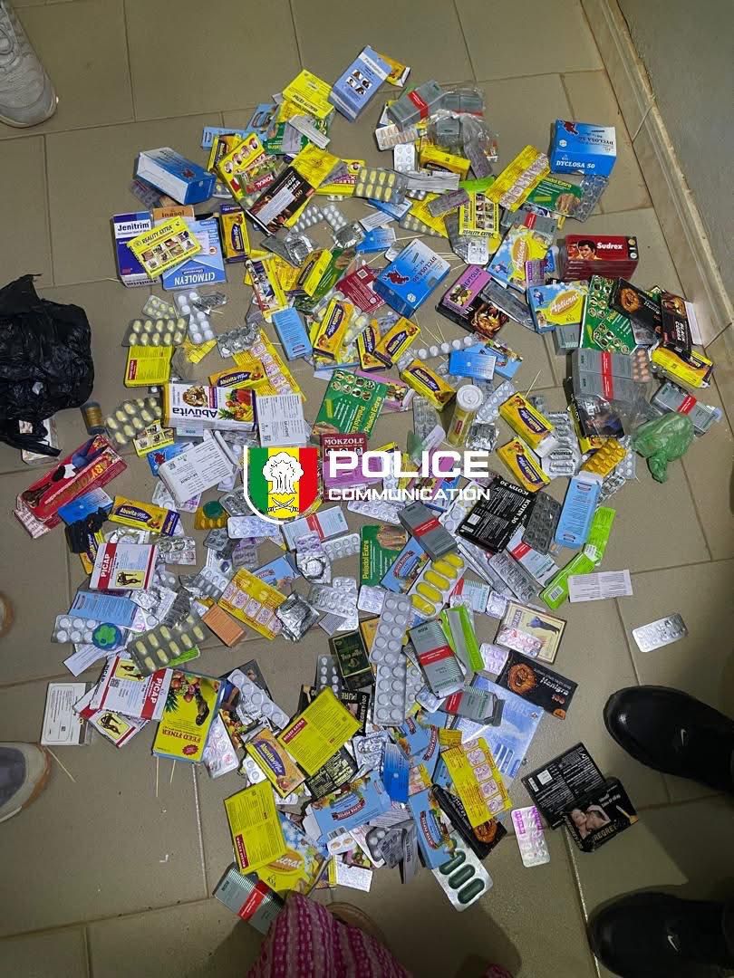 Trafic de faux médicaments : la Police interpelle un commerçant à Richard-Toll