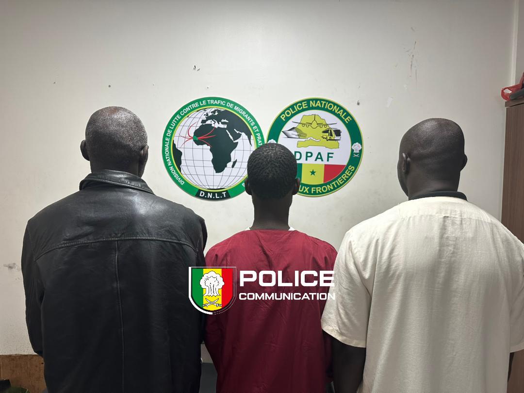 Escroquerie au visa et faux monnayage : démantèlement d’un réseau criminel à Dakar