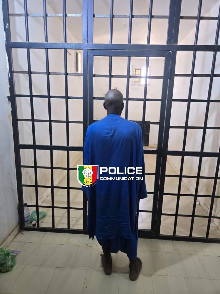 Vol de bétail à Nioro : un suspect interpellé après plusieurs jours de cavale