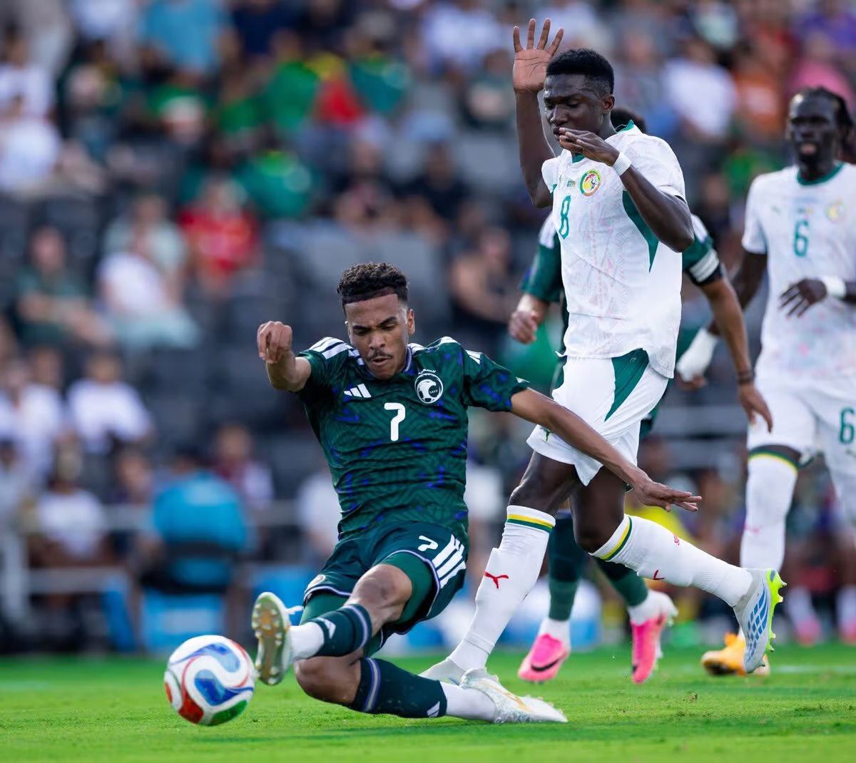 Mondial 2026 : les Lions terminent leur préparation sans victoire avant le choc contre la France
