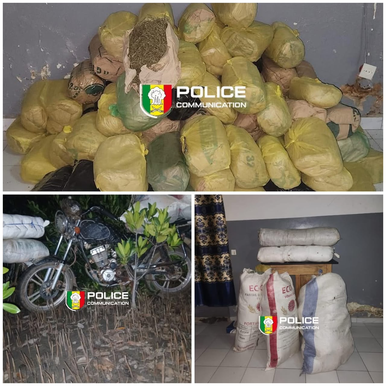 Sédhiou : la BRS saisit 91 kg de chanvre indien lors d’une opération à Bona