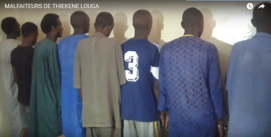 Banditisme à Louga : 11 personnes interpellées dont trois femmes, deux fugitifs recherchés