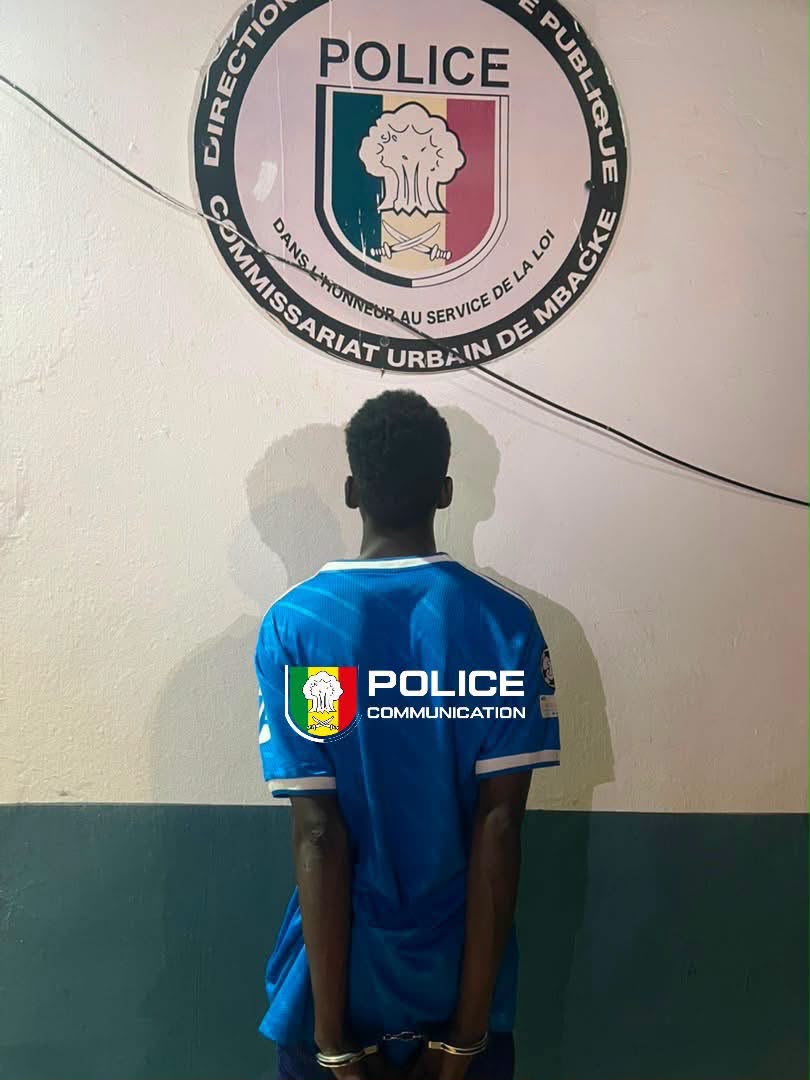 Homicide à Mbacké : le principal suspect arrêté, douze proches de la victime également interpellés