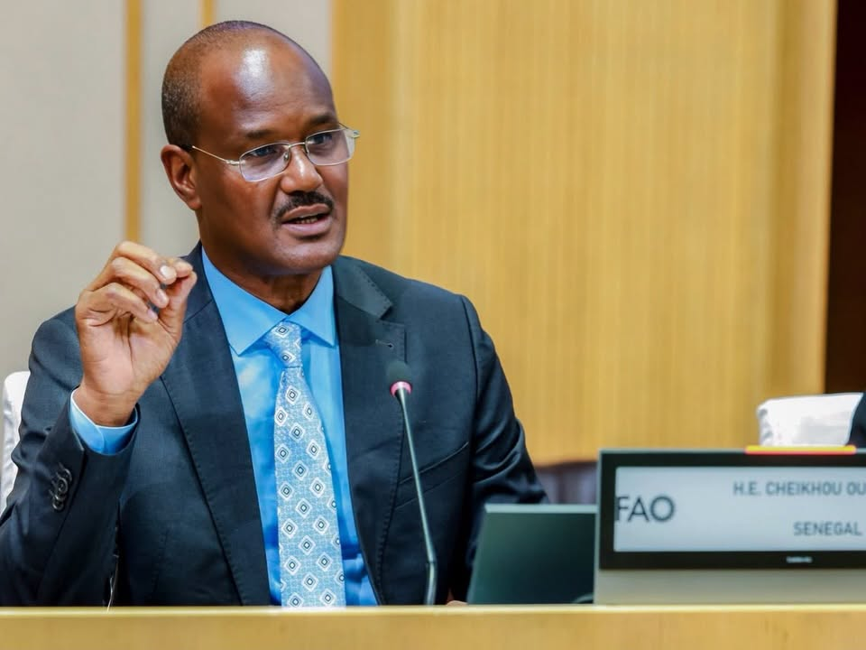 Rome : le Sénégal expose sa feuille de route pour atteindre la souveraineté alimentaire Rome : le Sénégal expose sa feuille de route pour atteindre la souveraineté alimentaire