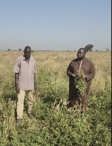 Hivernage 2026 : en tournée dans le Baol et le Saloum, Matar Diop salue le bon déroulement de la campagne agricole Hivernage 2026 : en tournée dans le Baol et le Saloum, Matar Diop salue le bon déroulement de la campagne agricole
