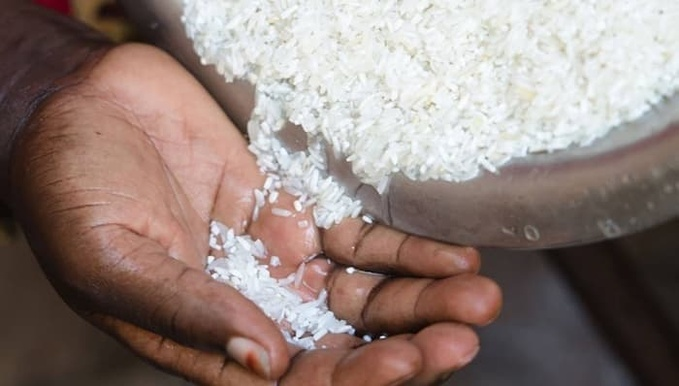 Riz contaminé aux aflatoxines : le ministère dément toute contamination généralisée Riz contaminé aux aflatoxines : le ministère dément toute contamination généralisée