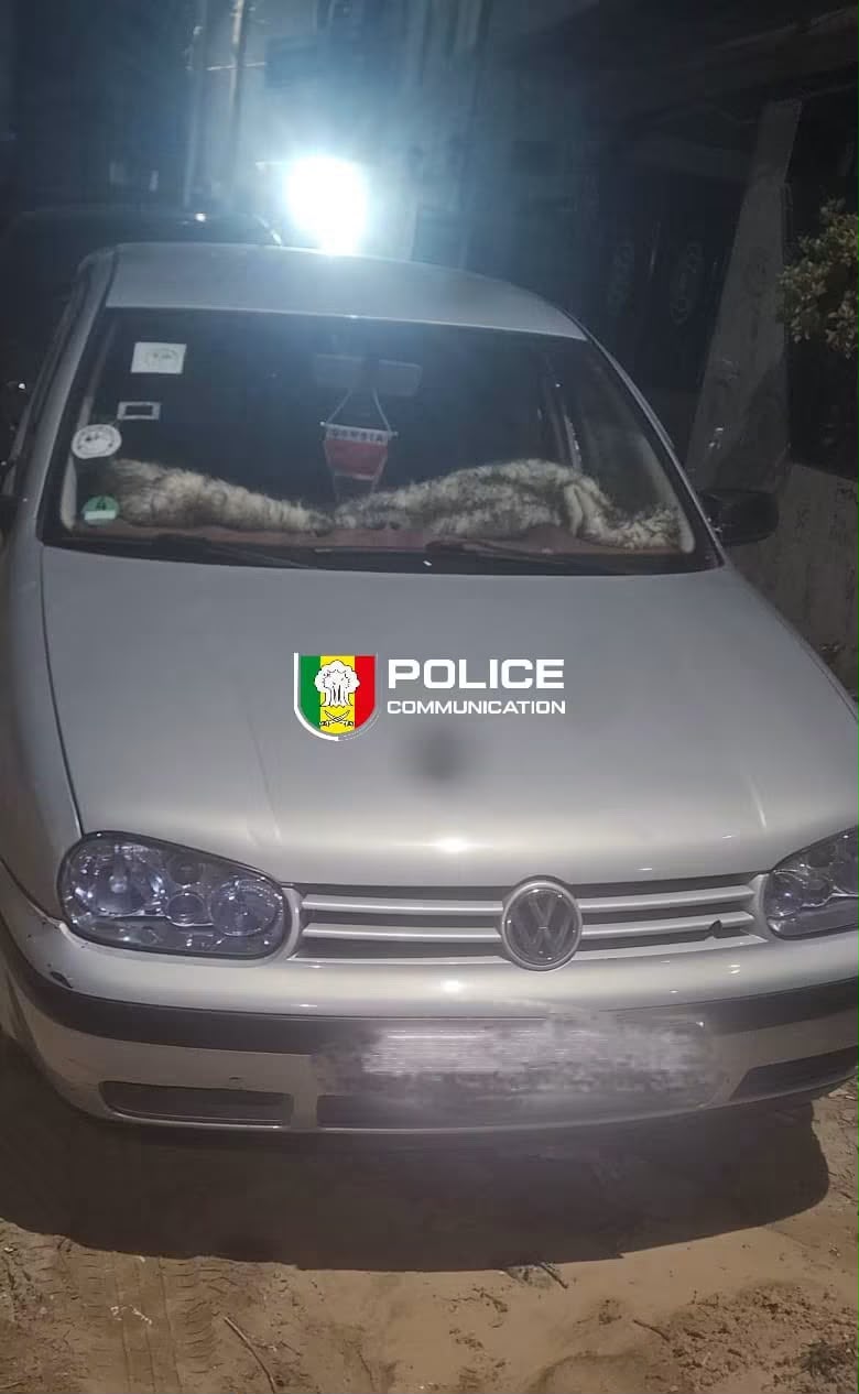 Dakar : un réseau présumé de trafic de drogue tombe après une vaste opération policière