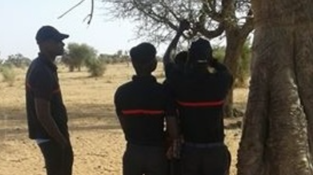 Bambali : un homme retrouvé pendu dans sa concession