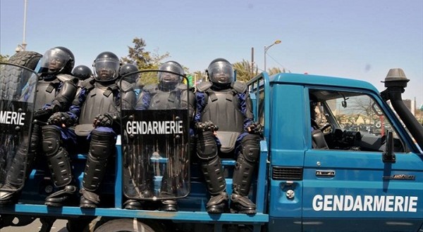 Lutte contre le trafic de drogue : La gendarmerie dévoile son arsenal de guerre
