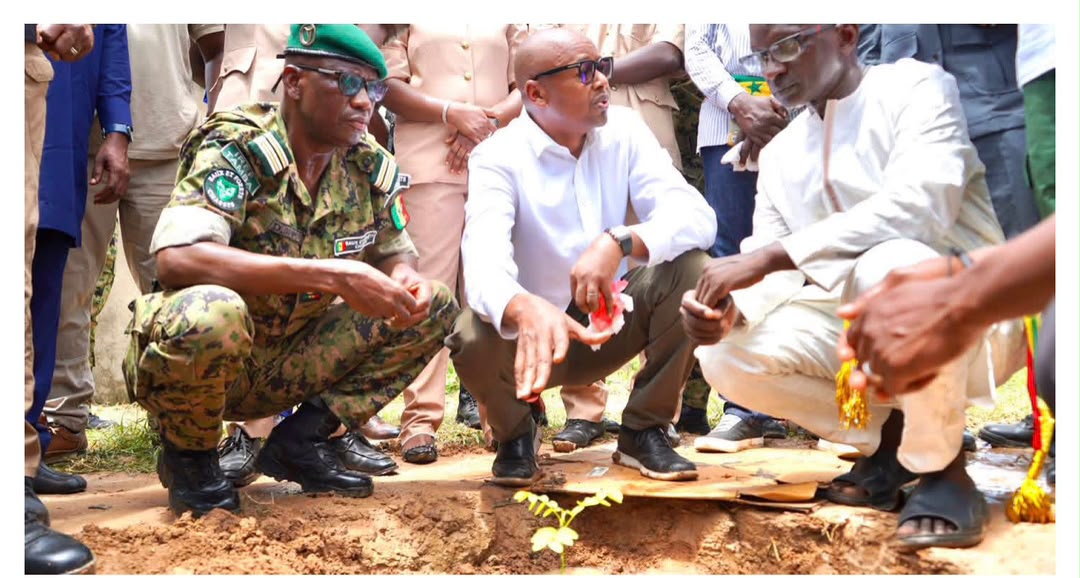 Journée de l'Arbre à Tambacounda : le Ministre Alpha Thiam sonne la révolte contre le « massacre » de nos forêts !