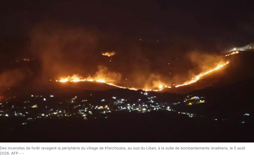 Le sud du Liban ravagé par les feux de forêts, Israël accusé d'incendies volontaires