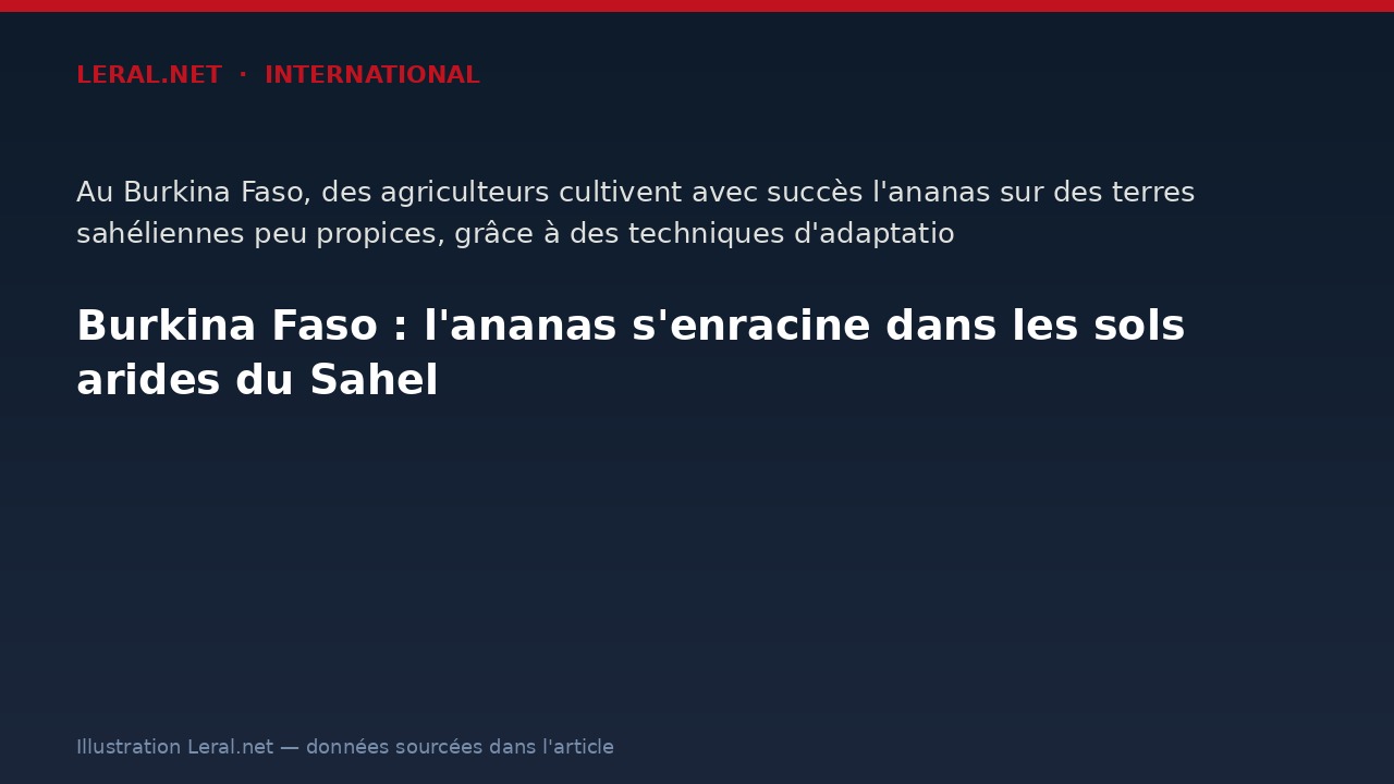 Burkina Faso : l'ananas s'enracine dans les sols arides du Sahel